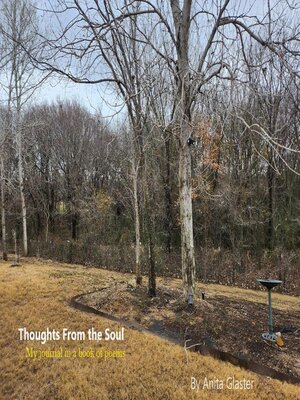 cover image of Thoughts From the Soul